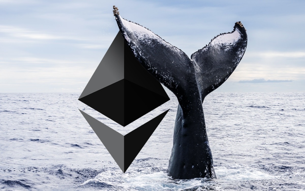 ETH whale addresses aggressively accumulating over the past week.
