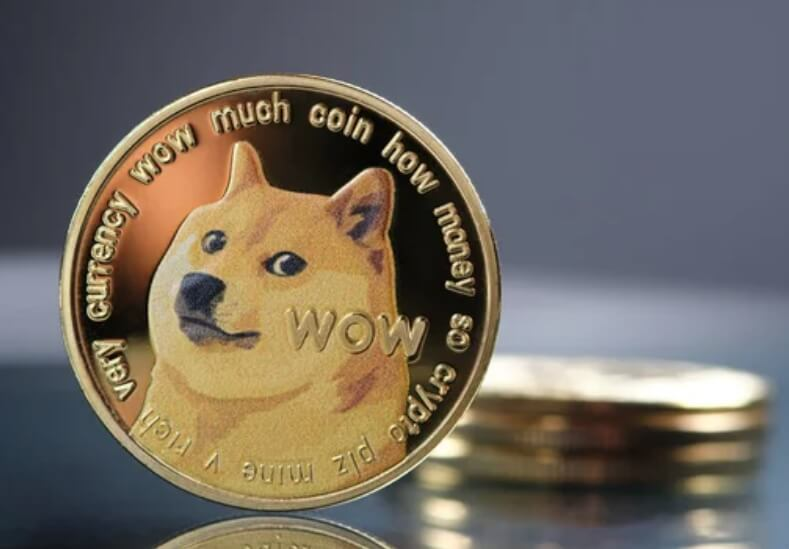 柴犬币的成功很大程度上归功于其强大的社群力量。 - Ultima Markets