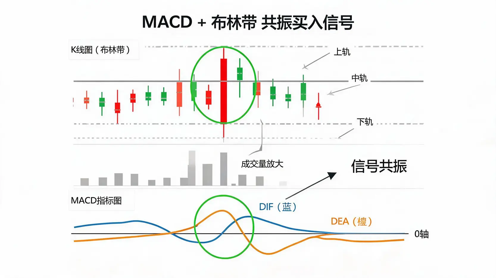 股票中的MACD线是什么?结合布林带确认趋势突破的实战技巧 - Ultima Markets