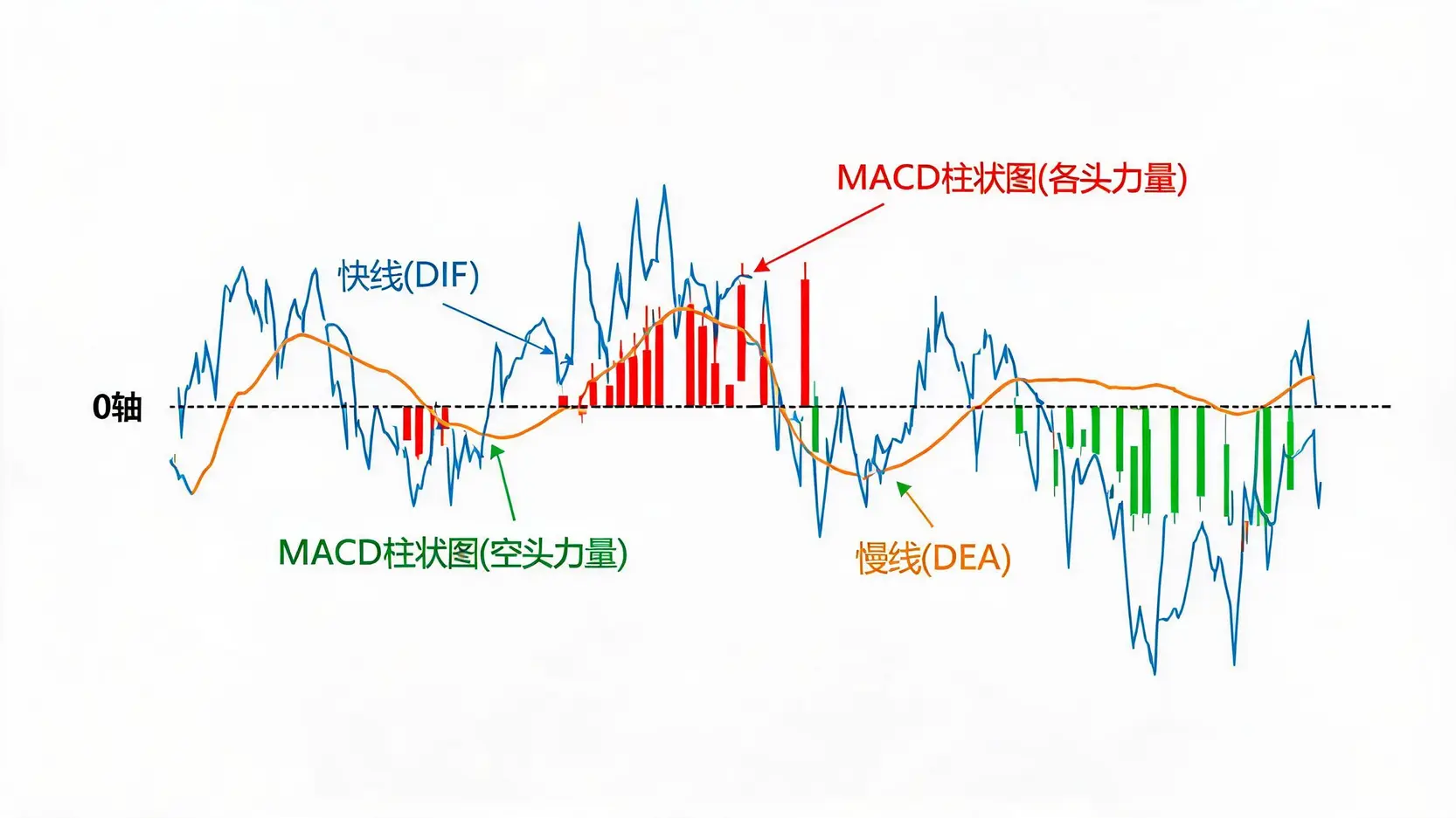 股票中的MACD线是什么:快线DIF、慢线DEA与柱状图构成详解 - Ultima Markets