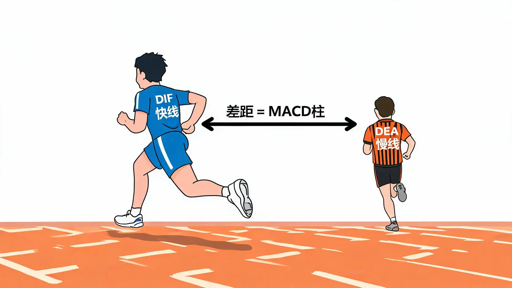 DIF、DEA和MACD三者关系的比喻图,一个跑者(DIF)领先于裁判(DEA),他们之间的距离代表MACD动能。
