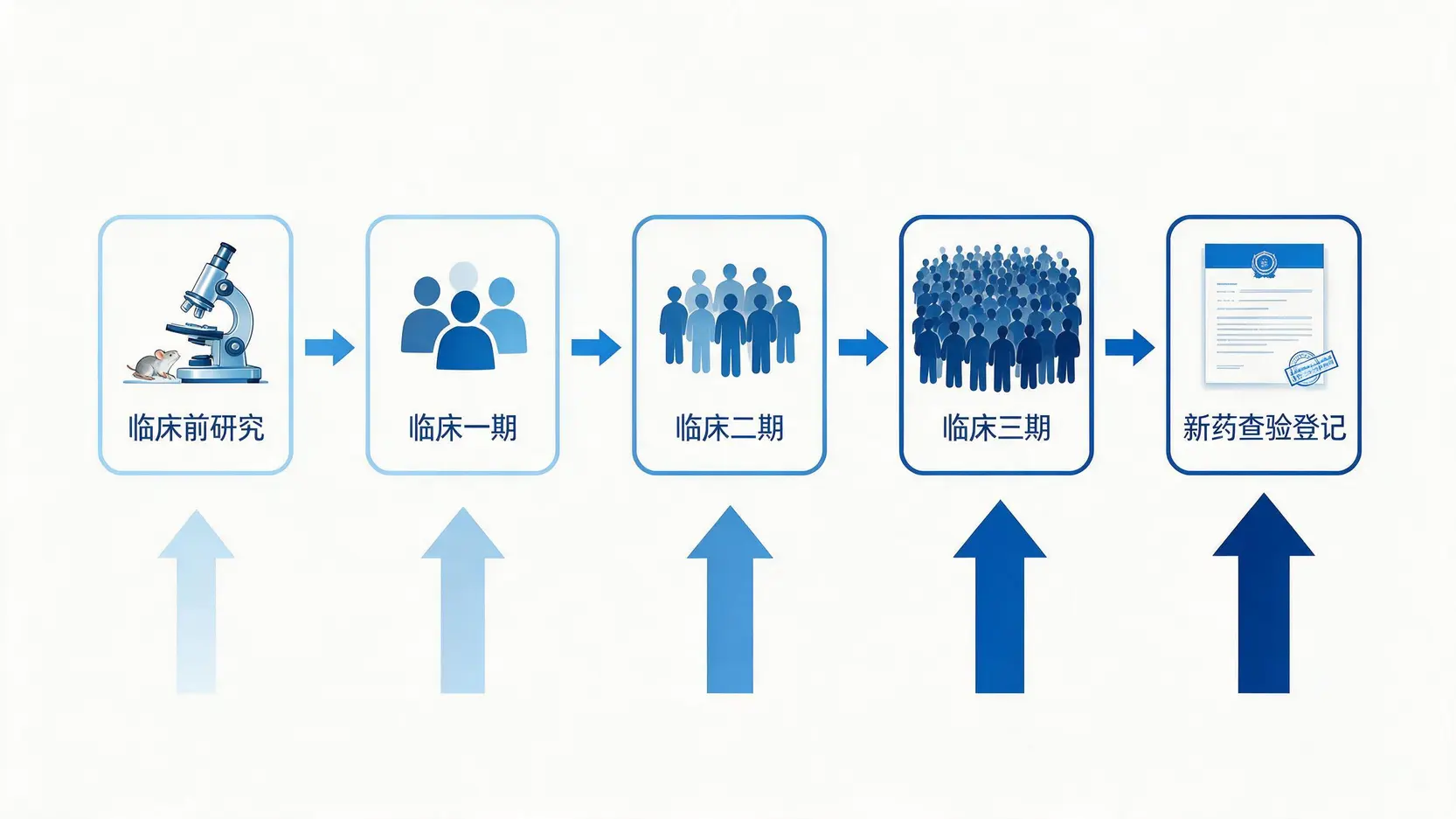 新药研发从临床前研究到上市审批的五个阶段流程图。